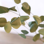 ［BIGボタニカル｜ドライ］ユーカリ ポポラス 90-100㎝