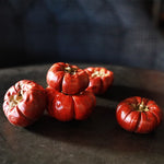 ［ドライフラワー］ミニカボチャ 5個セット