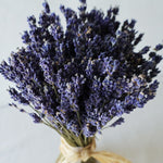 ＜夜の貴婦人＞ラベンダーのスタンドブーケ