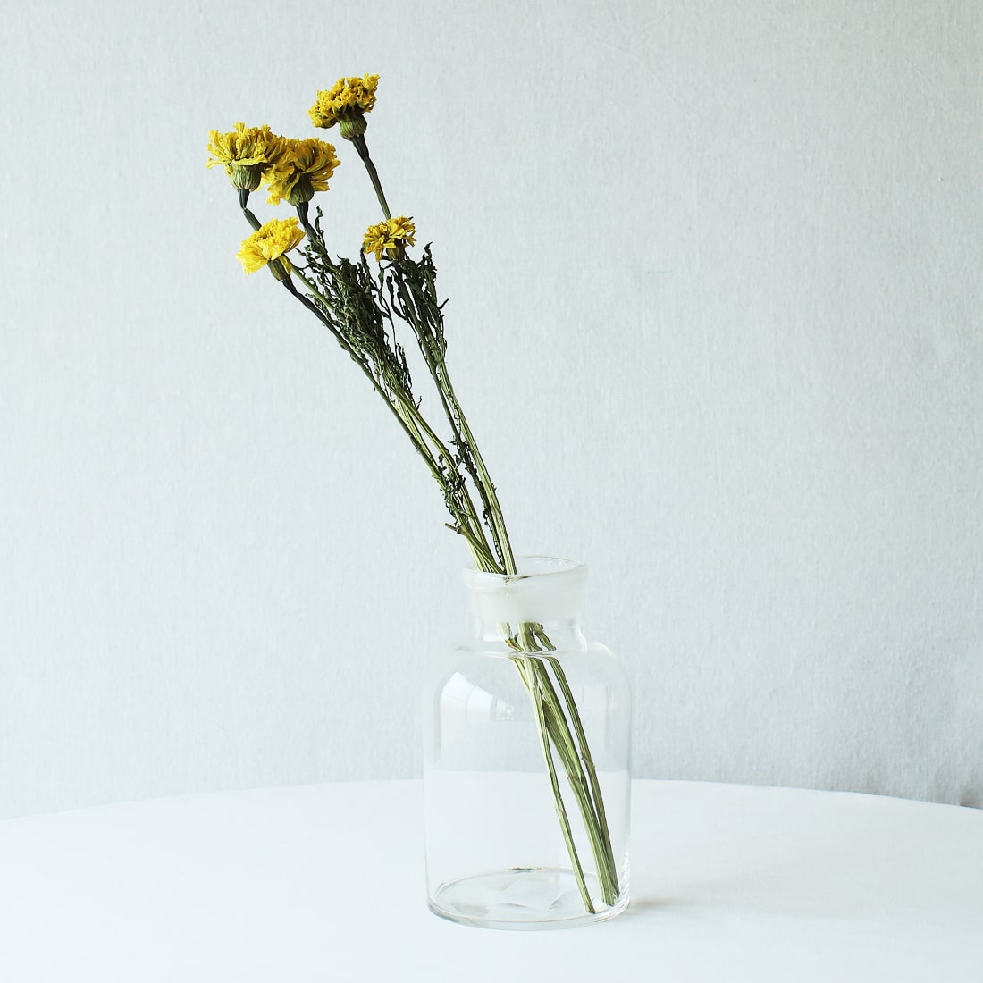 ゴールド　　　お花 生花】小輪トルコギキョウ 小夏ゴールド(黄)2L【OT】(オレンジ系ピンク