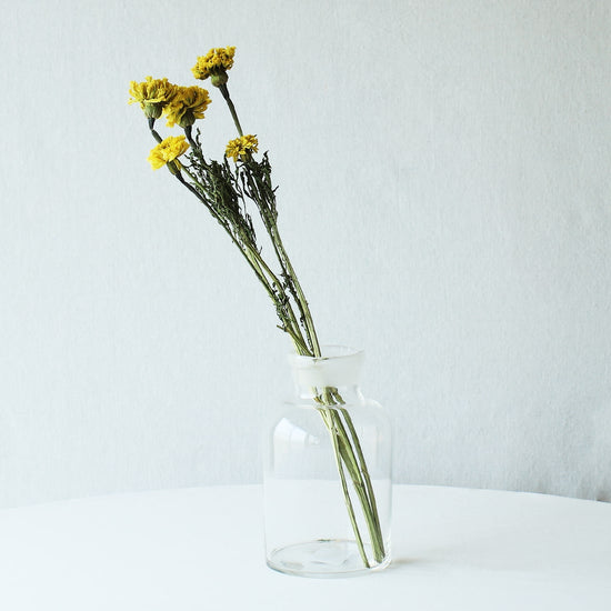 ［ドライフラワー］マリーゴールド