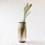 ［ドライフラワー］グレビレア スパイダーマン