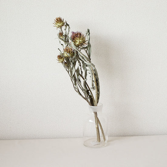 ［ドライフラワー］カルドン（ツチカゼファーム）