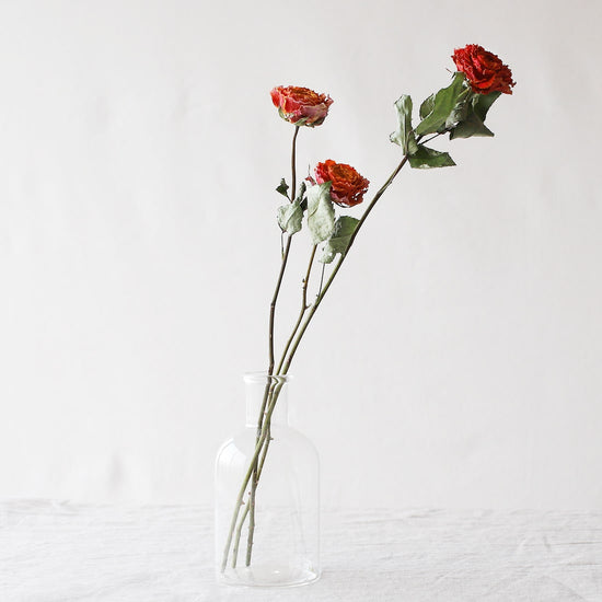 ［ドライフラワー］バラ シャインオン