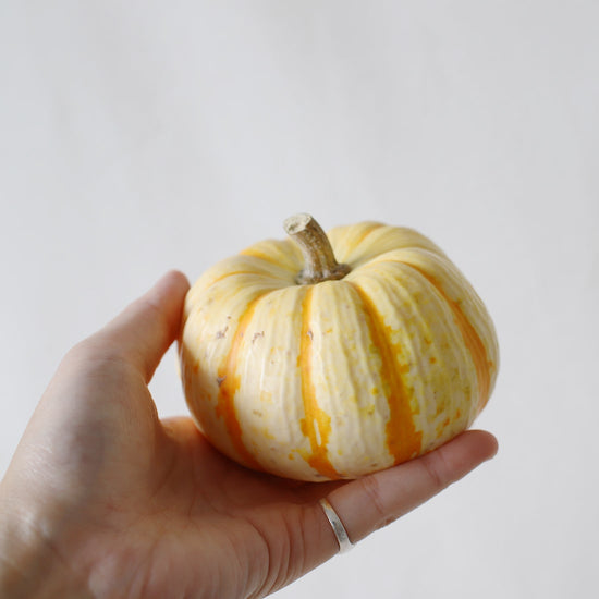 オモチャカボチャ