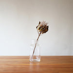 ［ドライフラワー］プロテア キング