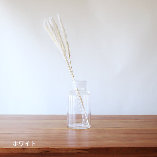 ※今季完売※［ドライフラワー］ちいさなパンパスグラス