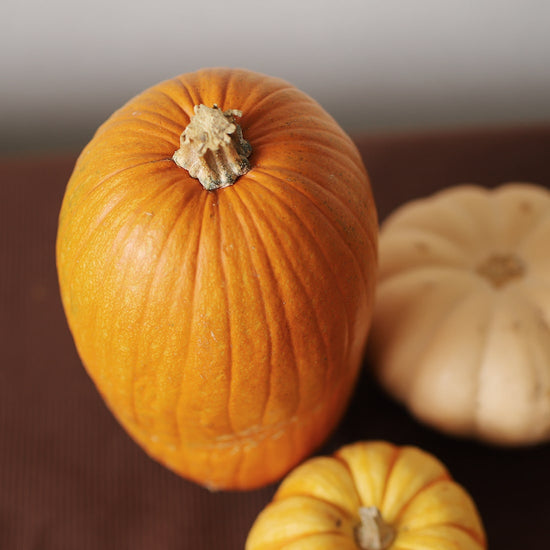 オモチャカボチャ 3個セット