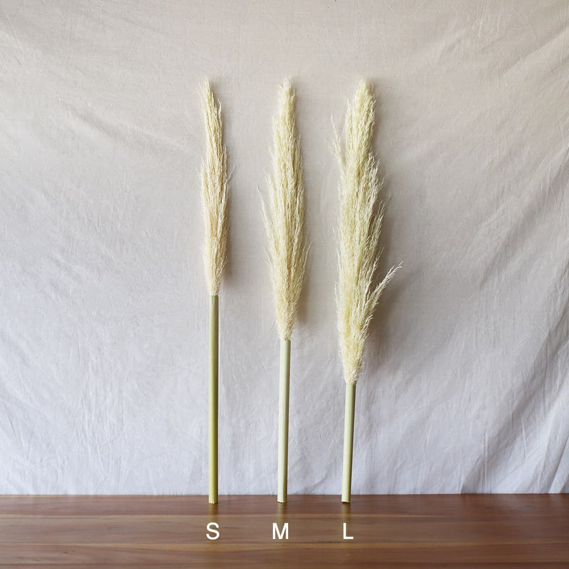 S・M・Lの3サイズをご用意