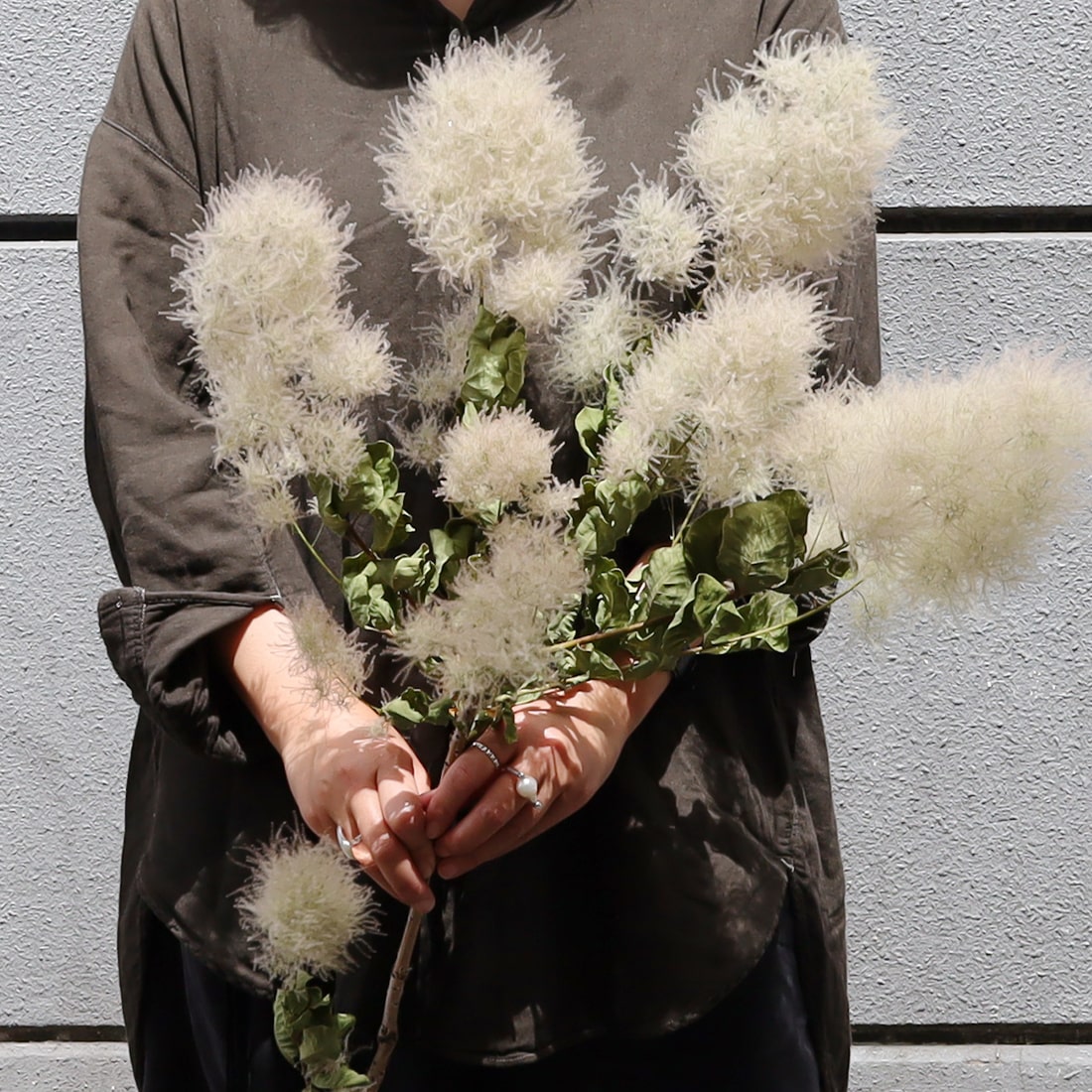 【特価】フェスツカ スモークツリー ロング 特大 スワッグ 2点セット ドライフラワー グリーン スワッグ No.3