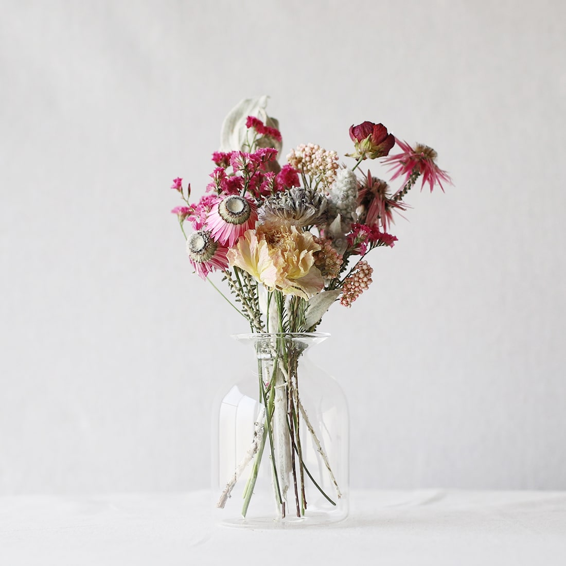 ドライフラワー］フェノコマ 商品ページ - 土と風の植物園