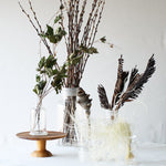 ［ドライフラワー］エレンダニカ