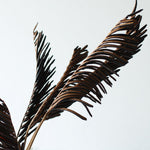 ［ドライフラワー］ガンソク