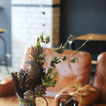 ［ドライフラワー］エレンダニカ