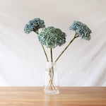 ［ドライフラワー］紫陽花  西安アンティークブルー＜クロダナーセリー＞