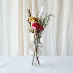 ［ドライフラワー］ケイトウ