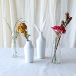 ［ドライフラワー］ケイトウ