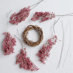 ピンクペッパー・スパイスのリース