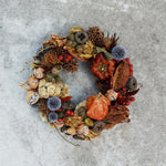 ［ドライフラワー］ミニカボチャ 5個セット