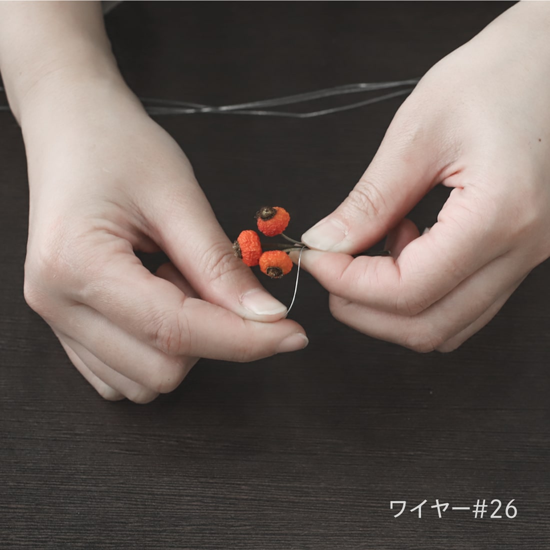 ワイヤー商品ページ - 土と風の植物園