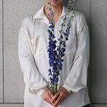 ［ドライフラワー］デルフィニューム ジャイアント パシフィック