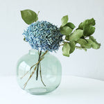 ［ドライフラワー］紫陽花  西安アンティークブルー＜クロダナーセリー＞