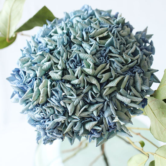 紫陽花とおすすめドライフラワーのセット