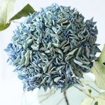 ［ドライフラワー］紫陽花  西安アンティークブルー＜クロダナーセリー＞