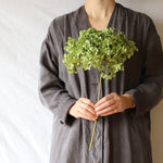 ［ドライフラワー］紫陽花 アナベル