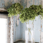 ［ドライフラワー］紫陽花 アナベル