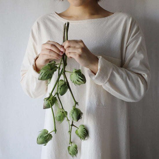 期間限定 小さなテキサスの自由研究 ＊ご自宅へお届け