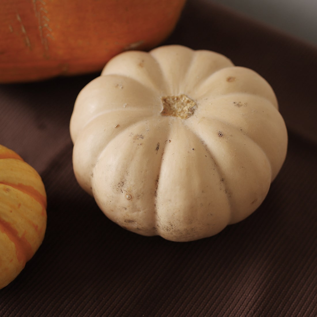 オモチャカボチャ 3個セット 商品ページ - 土と風の植物園