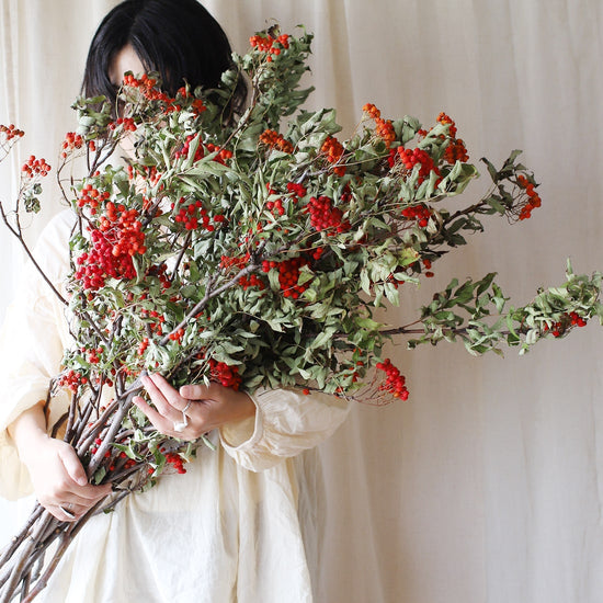 ［ドライフラワー］ナナカマド