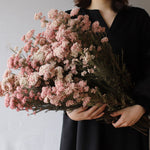 ［ドライフラワー］ライスフラワー