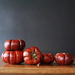 ［ドライフラワー］ミニカボチャ 5個セット