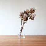 ［ドライフラワー］プロテア キング