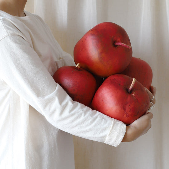 ［ドライフラワー］ジャングルアップル＜Snow White＞