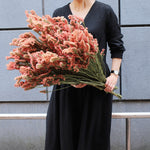 ［ドライフラワー］スターチス シヌアータ