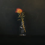 ［フラワーベース］ガラスベース ロワ