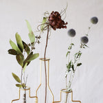［ドライフラワー］ユーカリ バクステリ