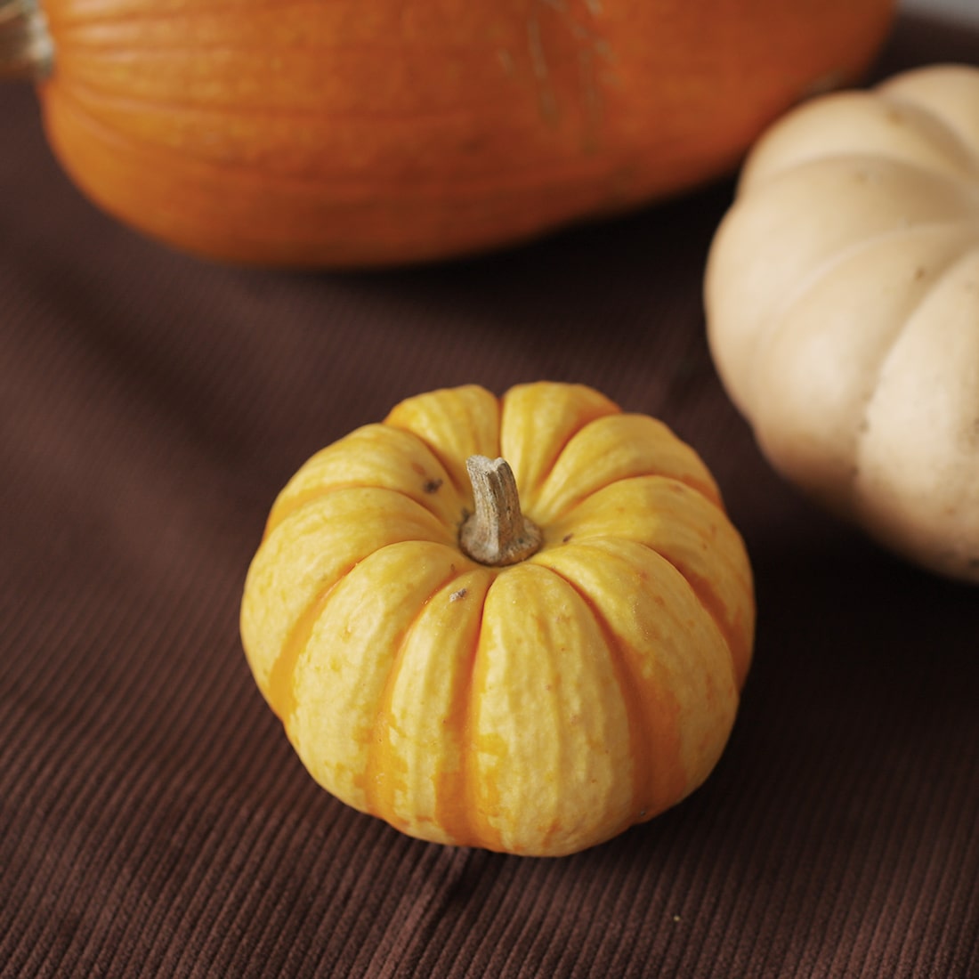 オモチャカボチャ 3個セット 商品ページ - 土と風の植物園