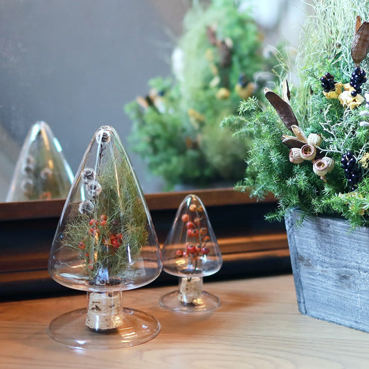 【クリスマス限定】ガラス標本のクリスマスツリー