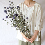 ［ドライフラワー］ルリ玉アザミ ベッチーズブルー