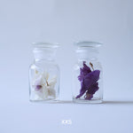 ［フラワーベース・雑貨］メディシンボトル