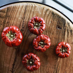 ［ドライフラワー］ミニカボチャ 5個セット