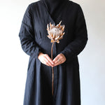 ［ドライフラワー］プロテア キング