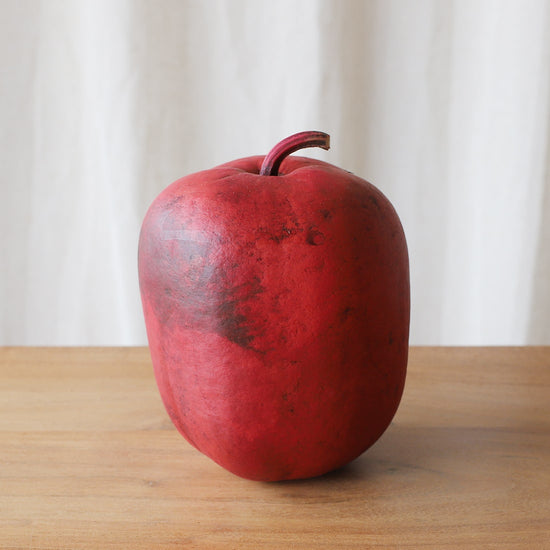 ［ドライフラワー］ジャングルアップル＜Snow White＞