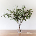 ※今季完売※［ドライフラワー］ユーカリ ジャイアンテウム