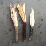 ［ドライフラワー］オーロラコーン 2本セット