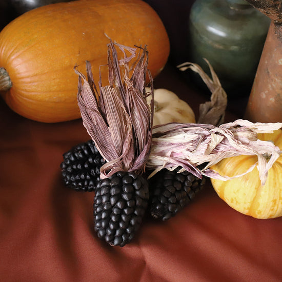 ［ドライフラワー］アンデスコーン